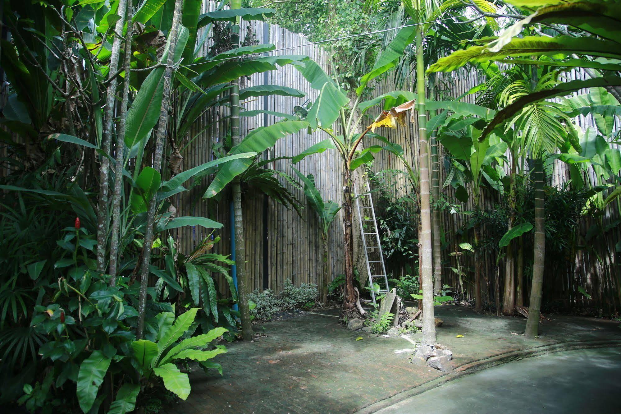 Oyo 585 Freedom Hostel @ Phi Phi Exterior photo